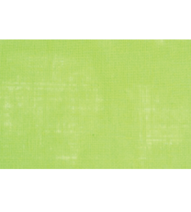 Lime Placemat 22" x 16.5"